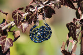 Modré náušnice - spirálka - Tiffany šperky